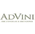ADVINI