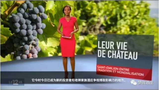 2017法國(guó)國(guó)家電視六臺(tái)深度報(bào)道